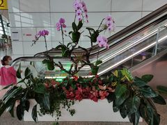 -郑州新郑国际机场-T2航站楼
