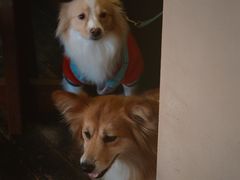 -Bamboo Today Cafe(国创园店)