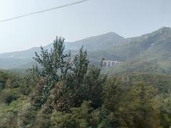 -黄金寨原生态旅游区