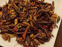 -榕江牛瘪牛肉火锅