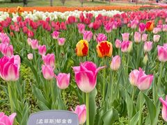 -国家植物园