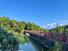 -广州白江湖森林公园