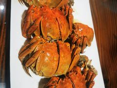 -呼吸森林·生态农庄农家乐私房菜