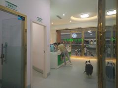 -汪喵宠物医院·骨科心脏影像·犬猫急重症ICU诊疗中心(成华分院)