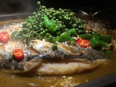 -探鱼·鲜青椒爽麻烤鱼(中山大信新都汇店)