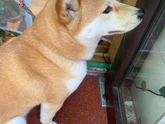 -Rabbit Cafe私房西餐甜点咖啡(栖霞路店)