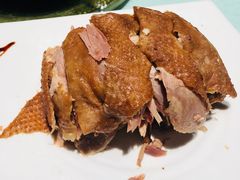 -阿五黄河大鲤鱼(纬三路店)