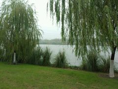 -九里河湿地公园