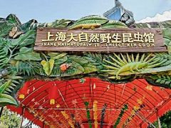 -上海大自然野生昆虫馆(东方明珠·爬宠昆虫探索中心)