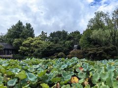 -杭州西子湖四季酒店·金沙厅