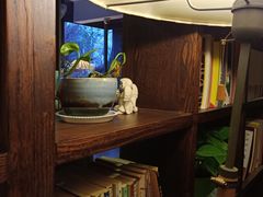 -西右咖啡(左岸风度店)