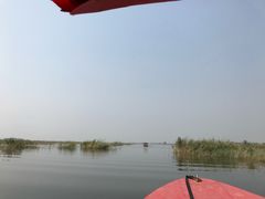 -白洋淀景区
