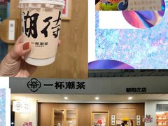 -一杯潮茶·专注潮汕茶饮(朝阳庄店)