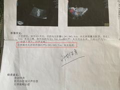 -浙江大学医学院附属邵逸夫医院(钱塘院区)