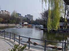 -莲湖公园