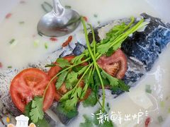 -全乐鱼馆·淳牌有机鱼直营店