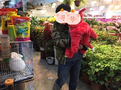 -双季花艺园艺市场(浦东店)