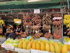 -南沙十九涌渔人码头-南门