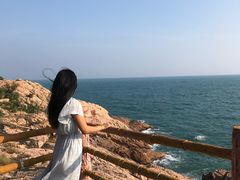 -广东惠东海龟国家级自然保护区