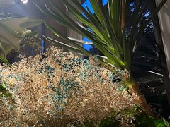 -春暖花开(西溪店)
