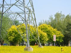 -长白岛森林公园