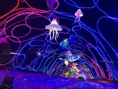 -沈阳奥体冰雪嘉年华