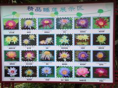 -广州莲花山旅游区