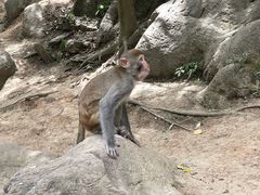 -黔灵山公园
