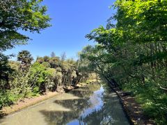 -同里国家湿地公园