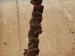 -新疆国际大巴扎