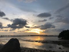 -宝安西湾红树林湿地公园