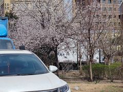 -星河湾温泉洗浴酒店