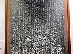 -苏州园林博物馆