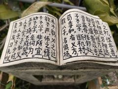 -青青世界