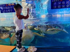 -烟台海昌鲸鲨海洋公园