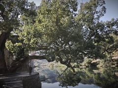 -上坦村