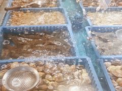 -御品海宴海鲜自助餐厅(龙岗万科广场店)