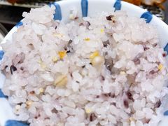 糙米饭-胜博殿日式炸猪排(悠唐店)