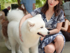 -TrueLove @ Neverland (Husky Cafe)