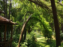 -溱湖国家湿地公园