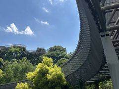 -福道