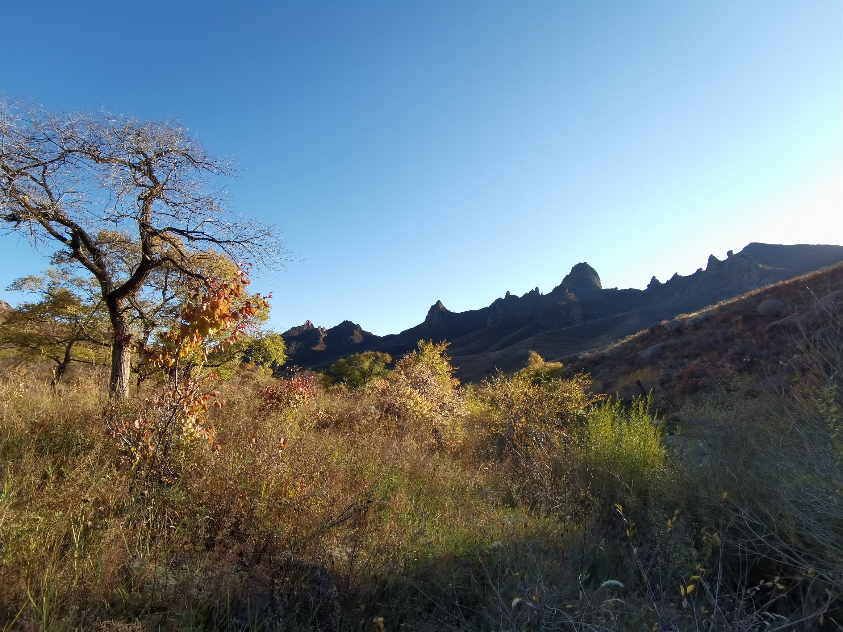 内蒙赤峰大青山,藏在阴山山脉里的宝藏地!