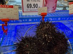 -大商麦凯乐(大连总店)
