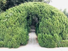 -台儿庄大战纪念馆