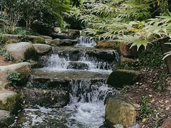 -中国茶叶博物馆(双峰馆区)