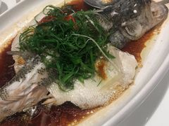 -至潮餐厅精致粤菜·活鲈鱼·走地鸡(珠江新城店)