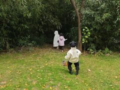 -迎泽公园