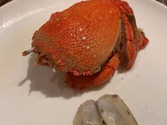 -常州富力喜来登酒店 Feast盛宴标帜西餐厅(新北万达广场店)