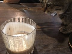 -猫友咖啡店(玉林西路店)