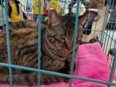 -北京华联购物中心(天通苑店)